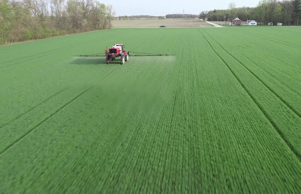 Surfactant for plant protection